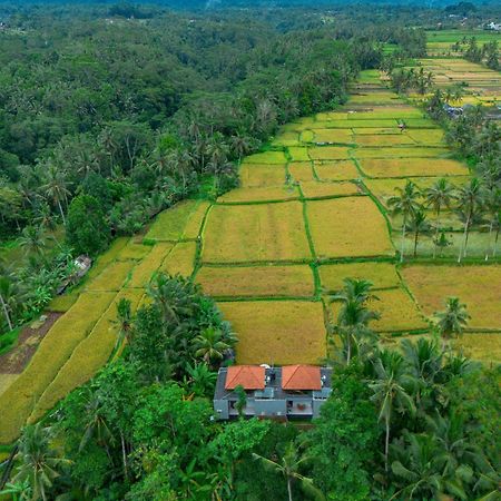 The Alus Cottage And Villa Ubud  Exterior photo