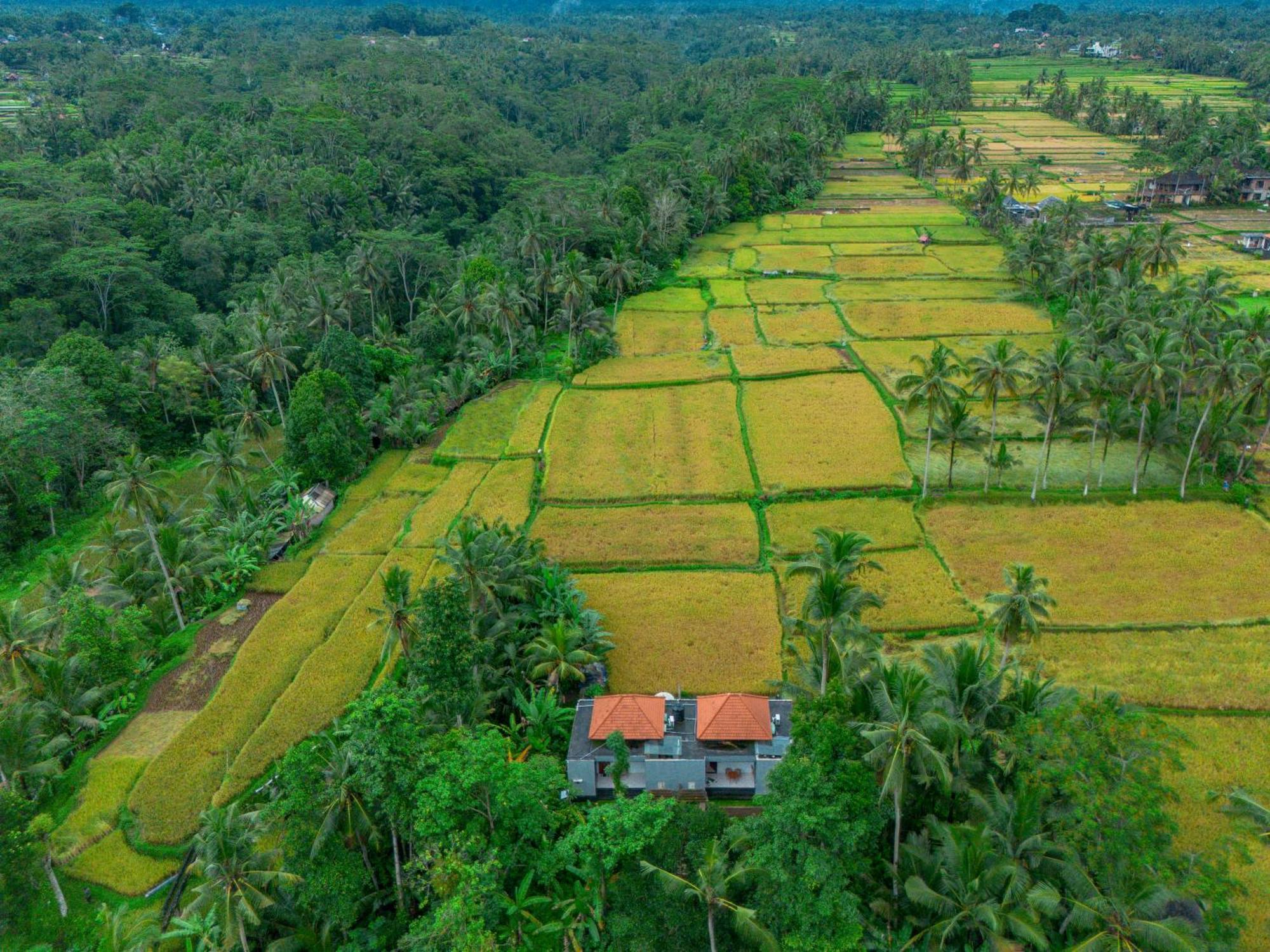 The Alus Cottage And Villa Ubud  Exterior photo