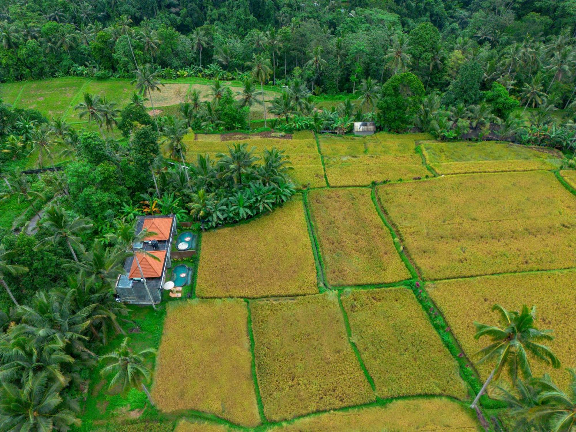 The Alus Cottage And Villa Ubud  Exterior photo