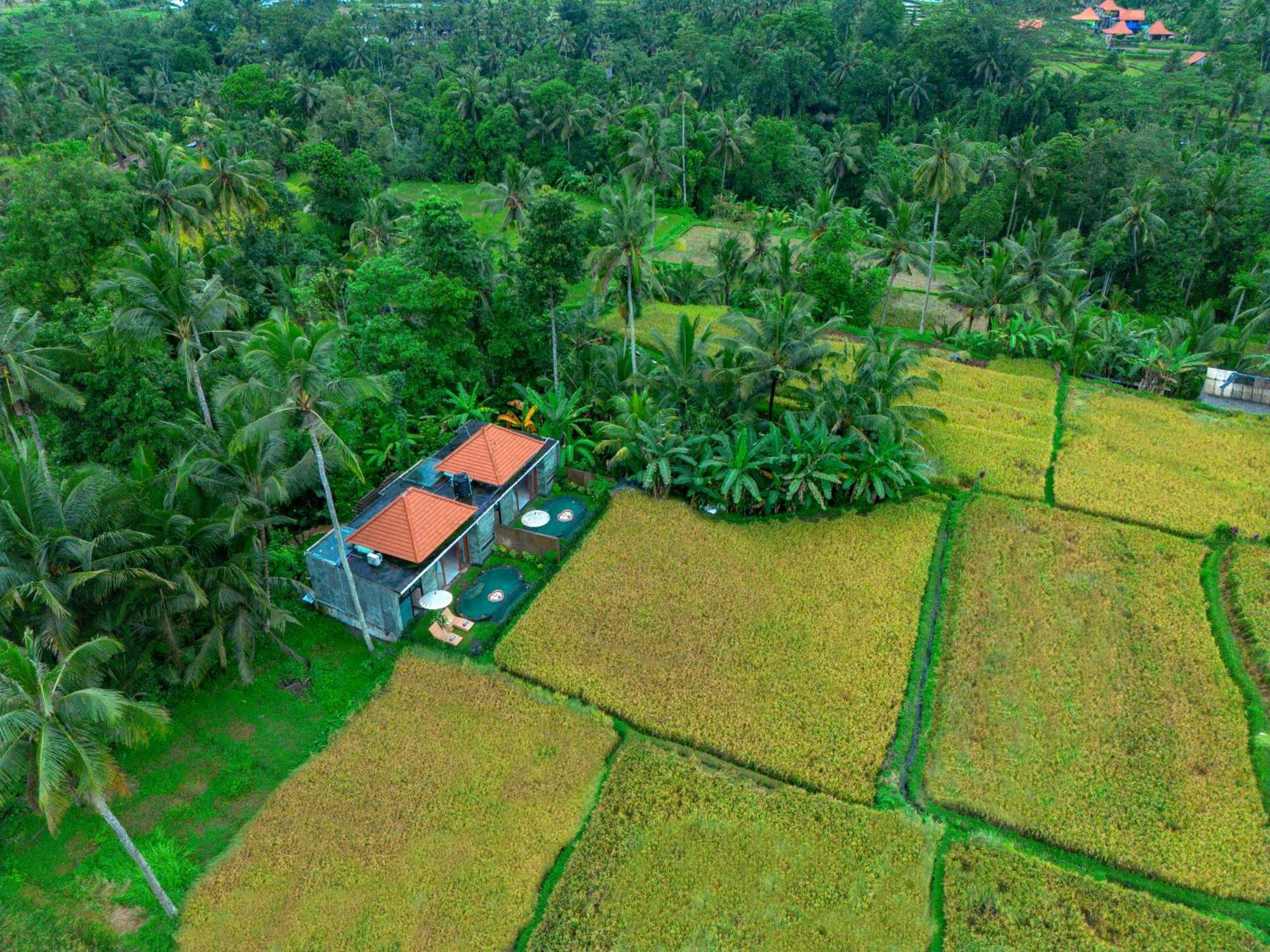 The Alus Cottage And Villa Ubud  Exterior photo