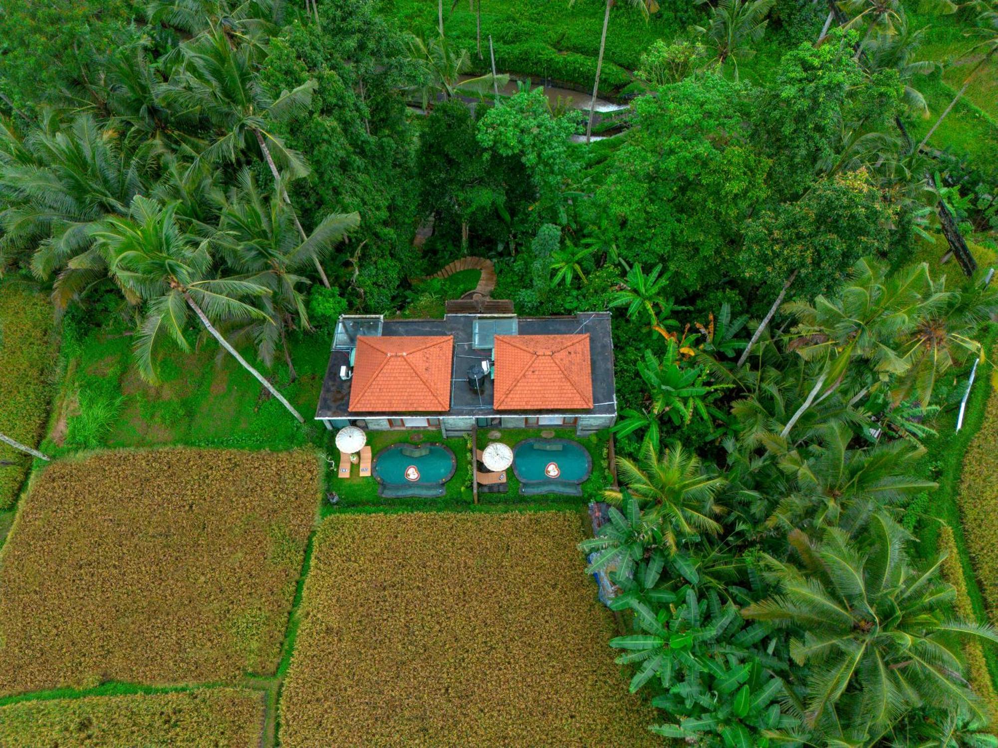 The Alus Cottage And Villa Ubud  Exterior photo